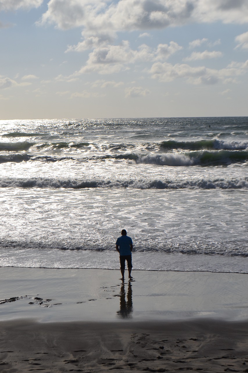 beach horizon ocean free photo