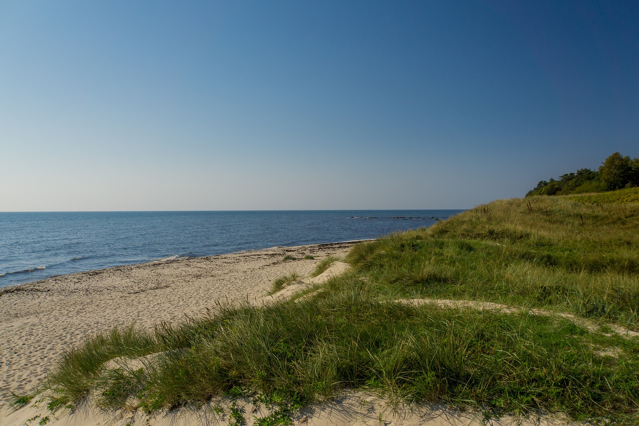 beach sea dune free photo