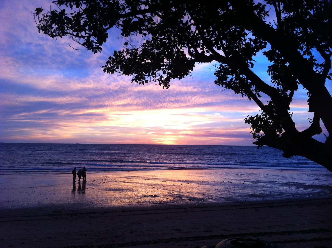 beach dawn tropical beach free photo