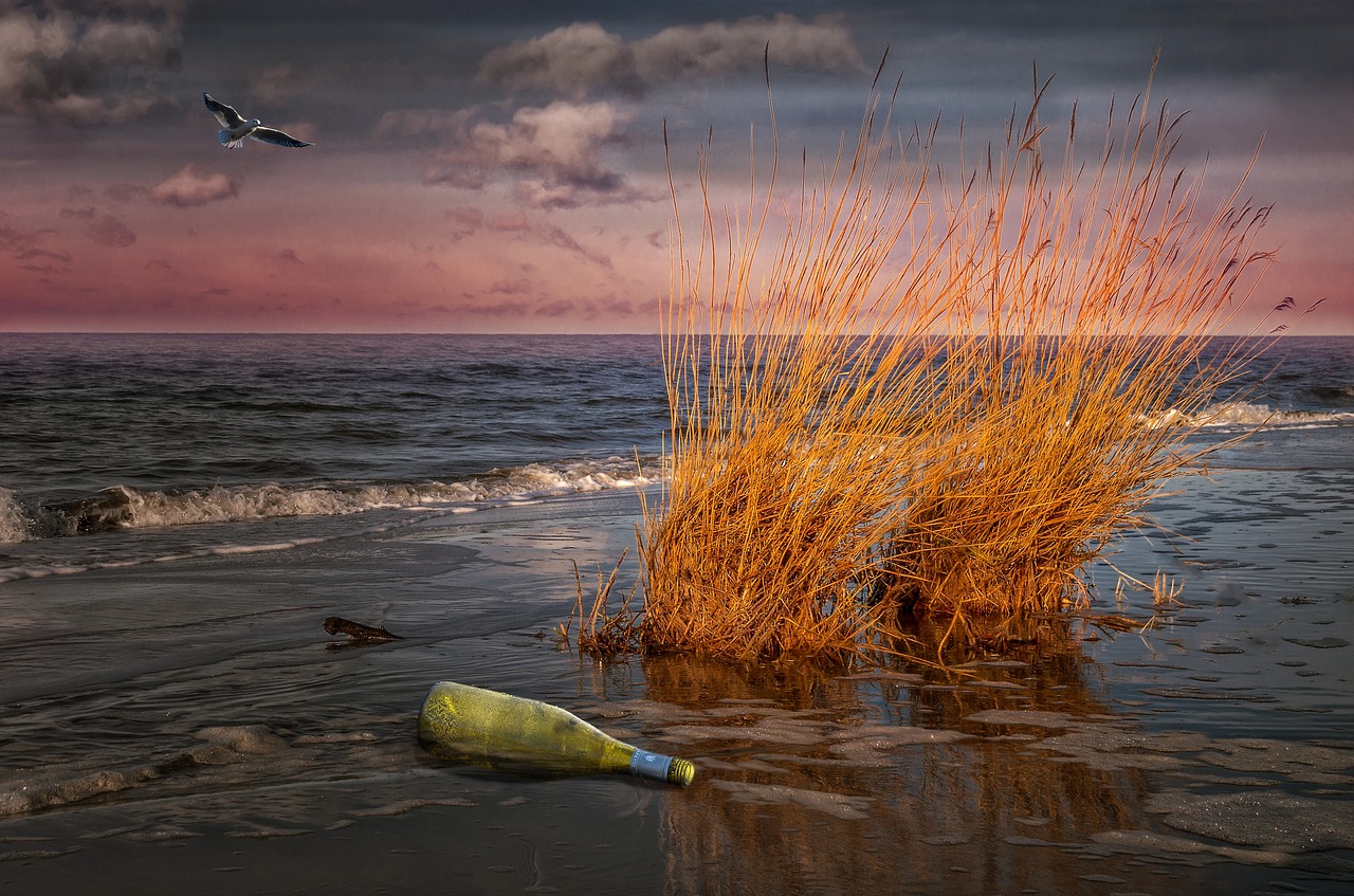 beach sea baltic sea free photo