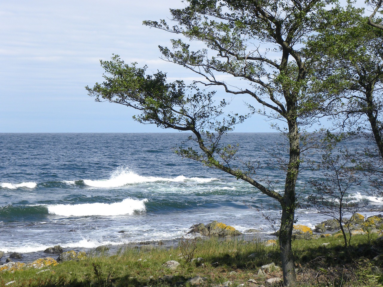 beach sea baltic sea free photo