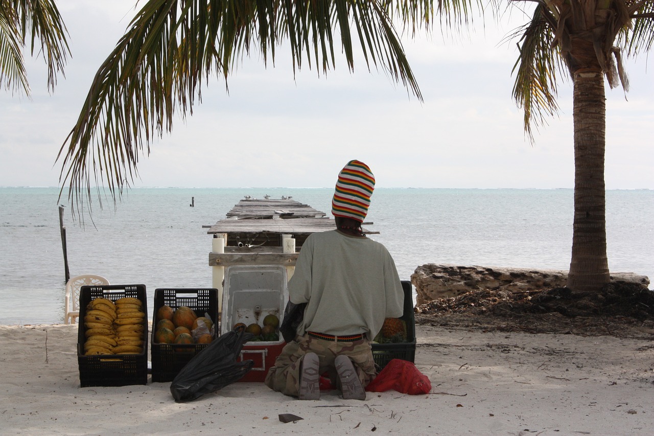 beach belize vacation free photo