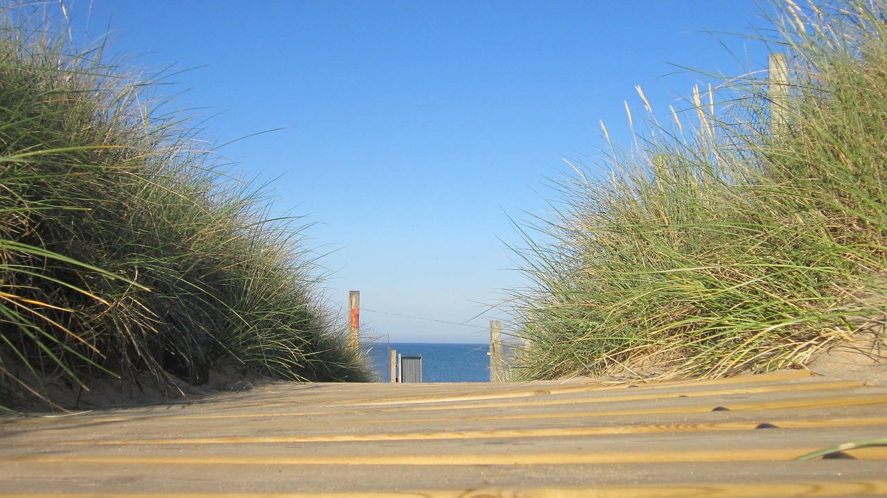 beach holiday summer free photo