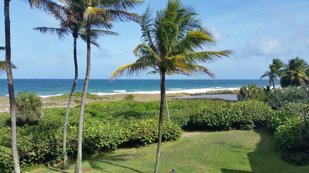 beach tropical tropical beach free photo