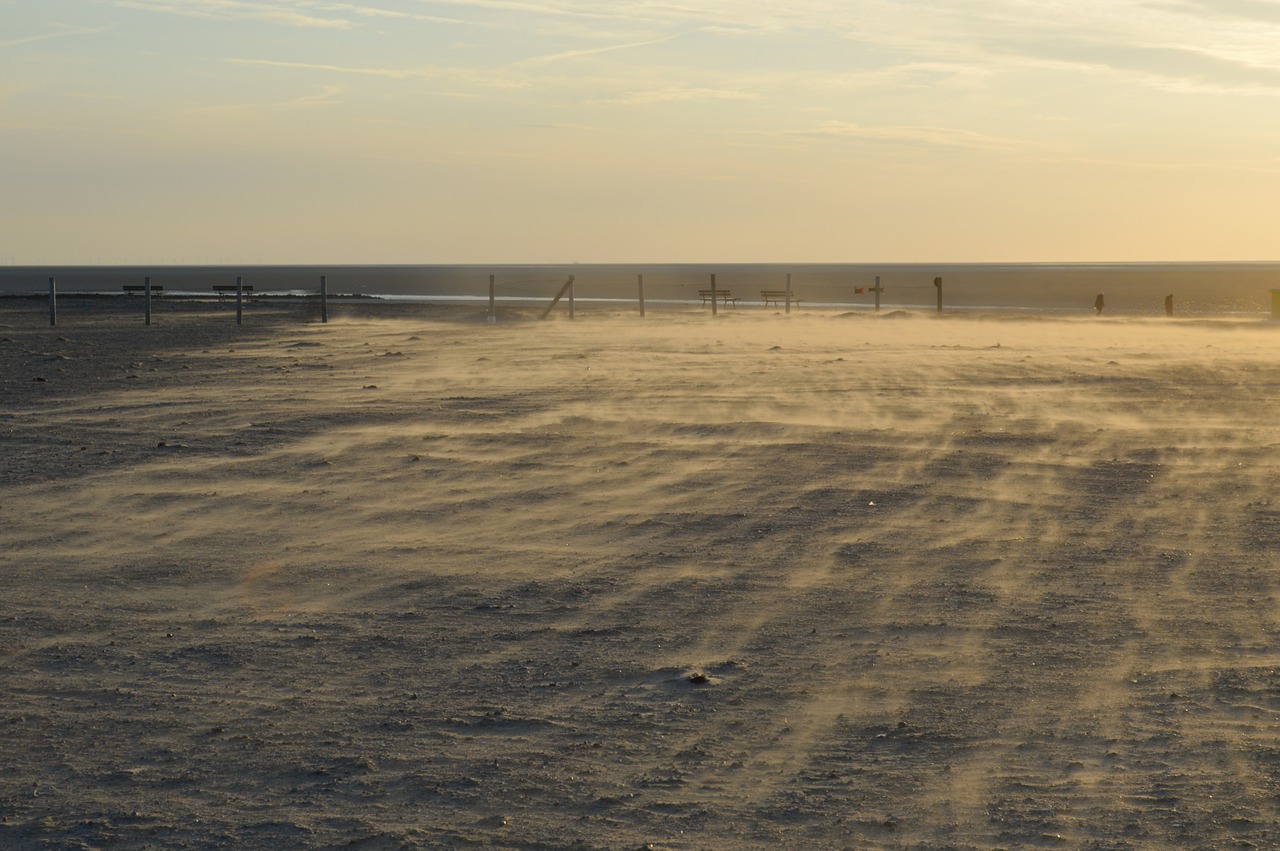 beach sand sun free photo