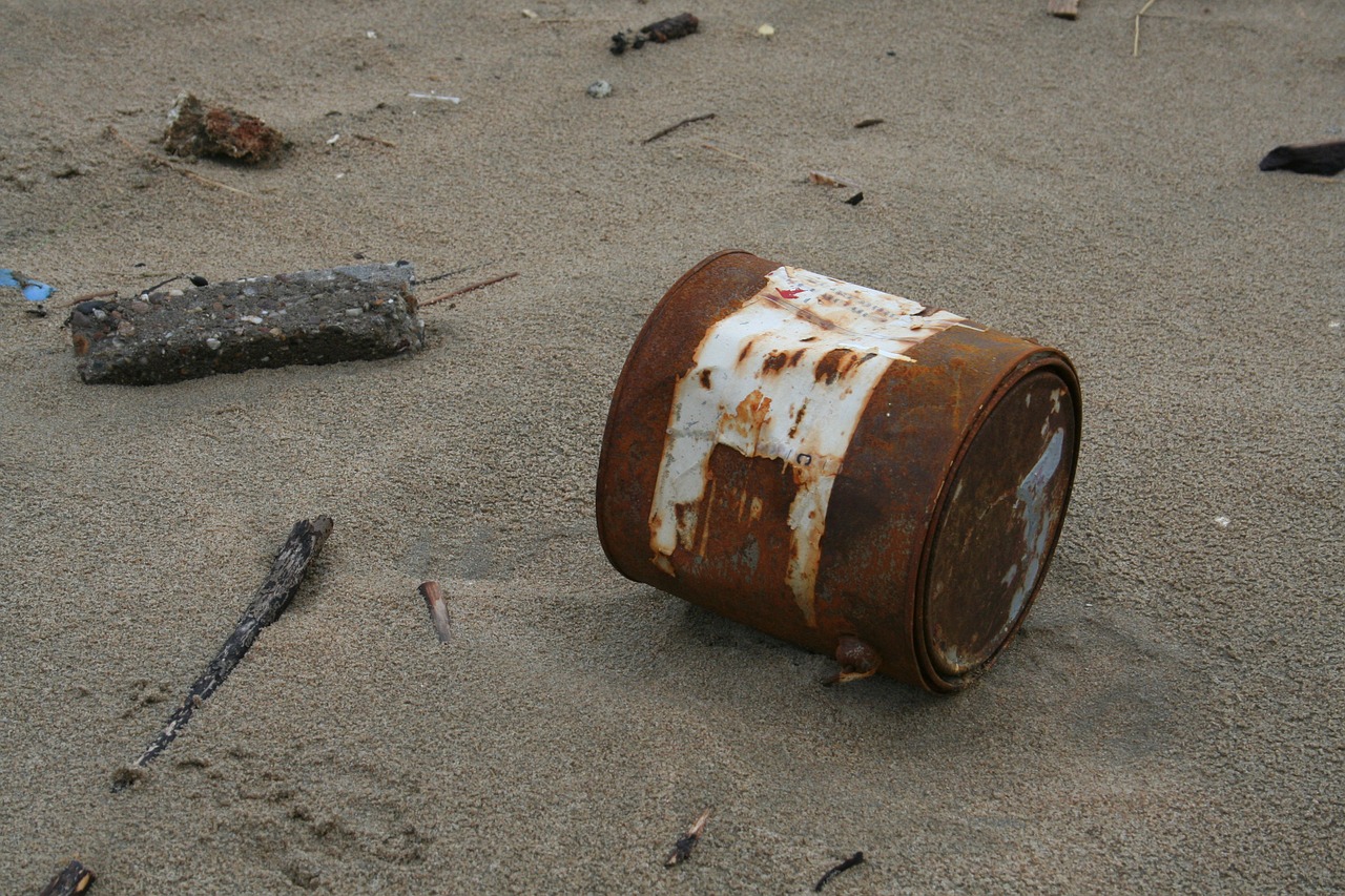 beach beach combing waste free photo