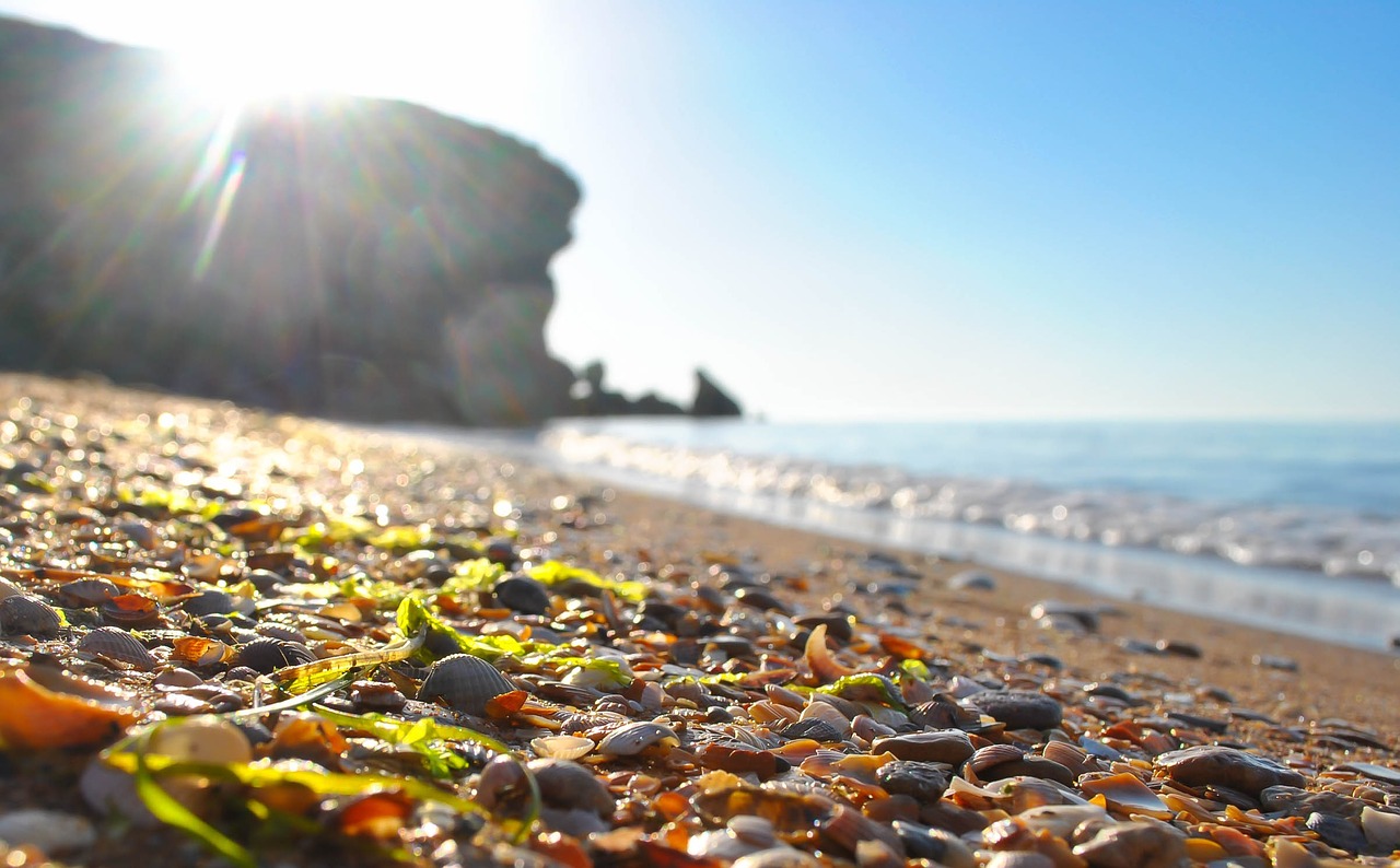 beach sea nature free photo