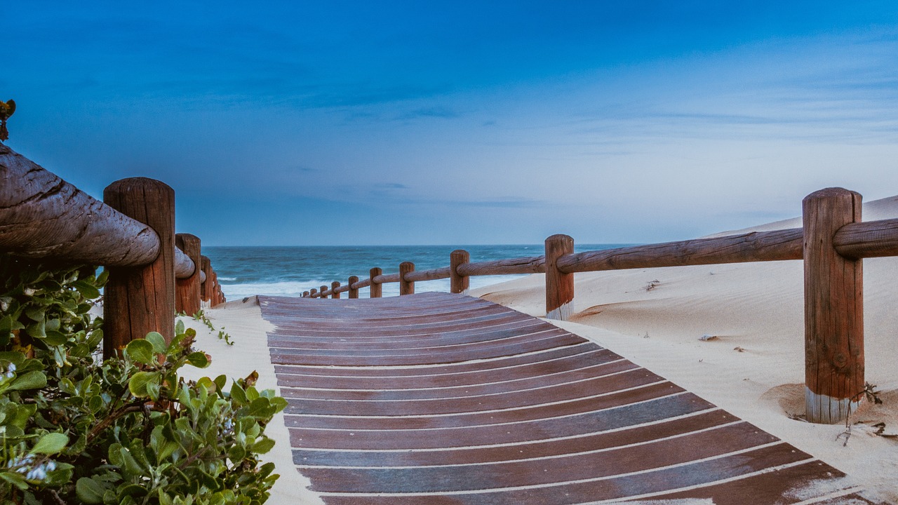 beach sea ocean free photo