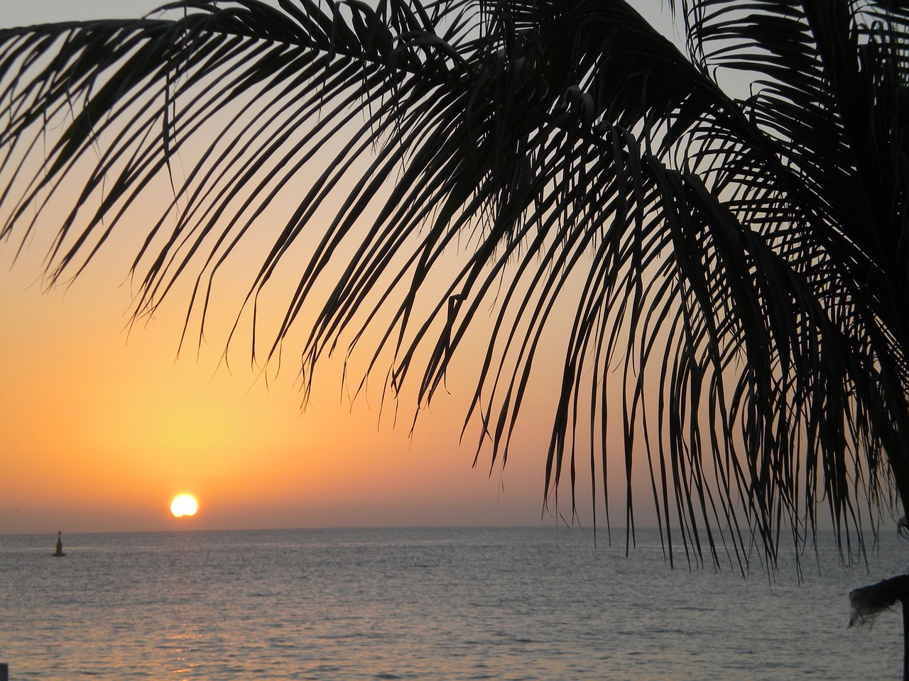 beach mexico sunset free photo