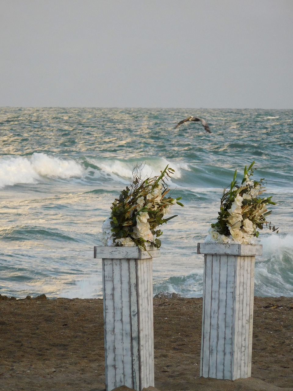 beach ocean coast free photo