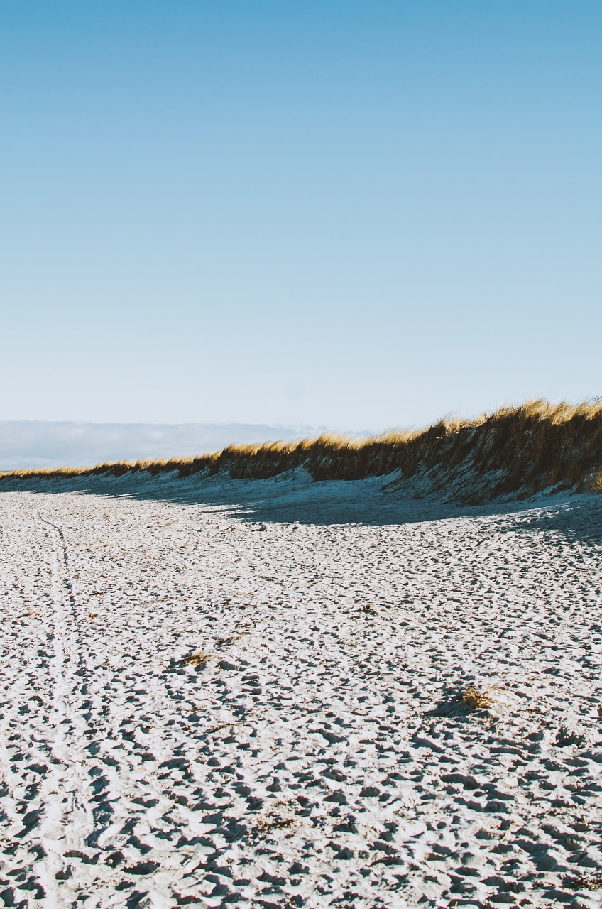 beach coast shore free photo