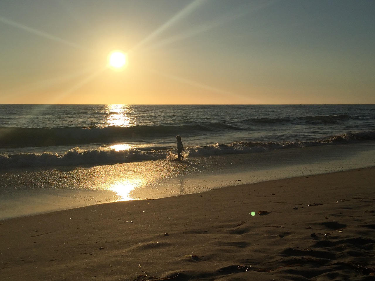 beach sunset california free photo