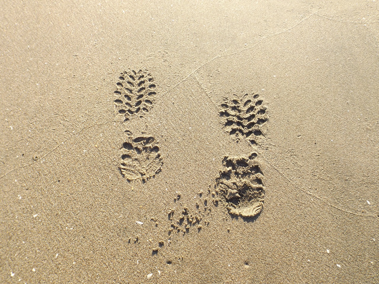 beach i took holiday free photo