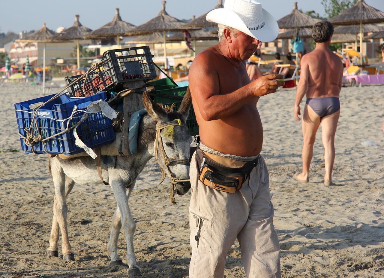 beach seller donkey free photo