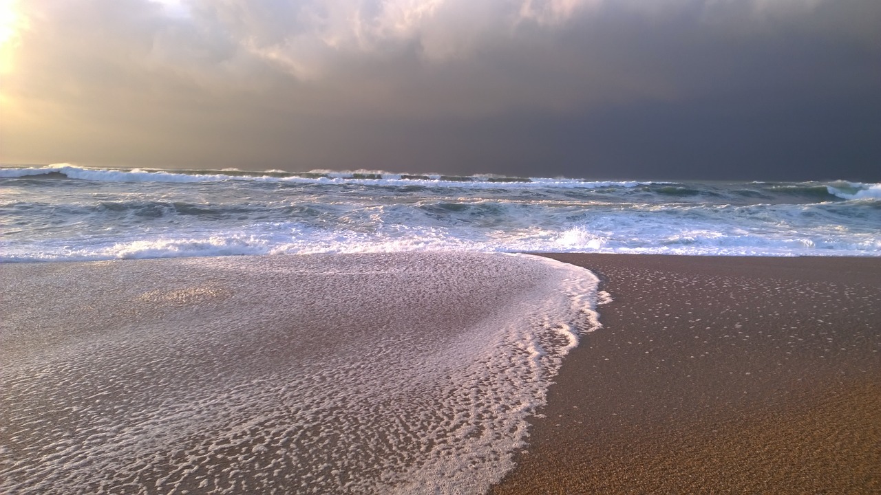 beach ocean sand free photo