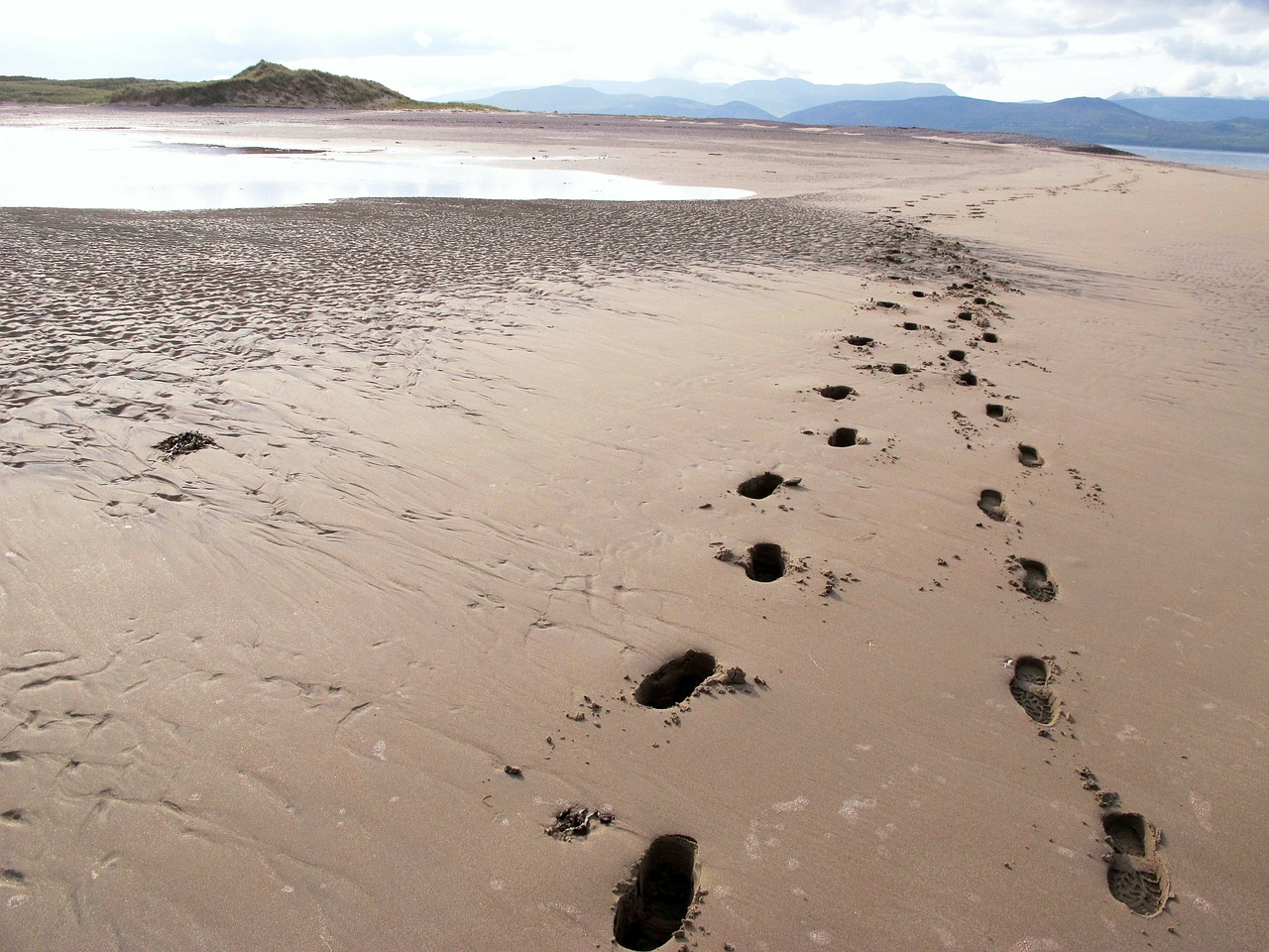 beach nature traces free photo