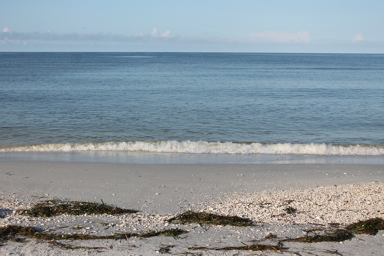 beach ocean wave free photo