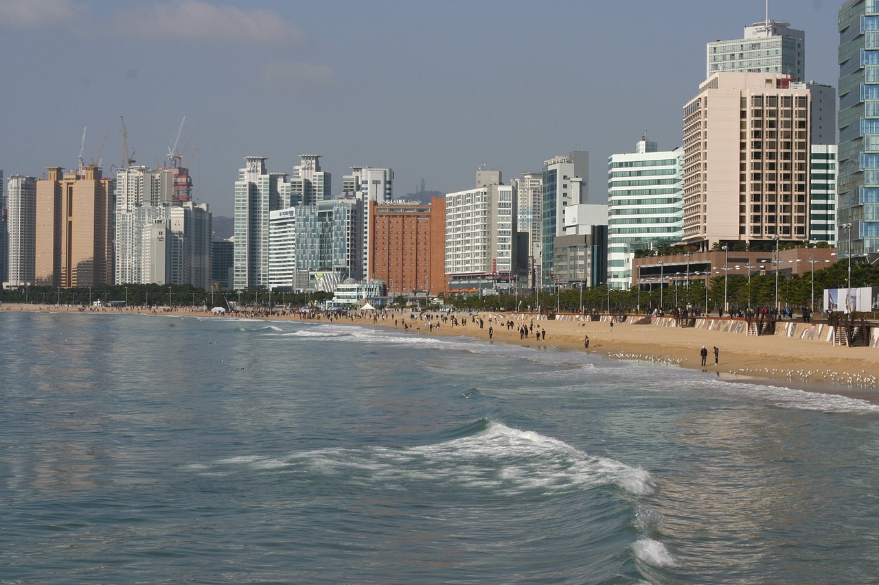 beach sea busan free photo