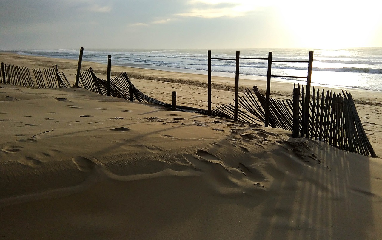 beach sunset evening free photo