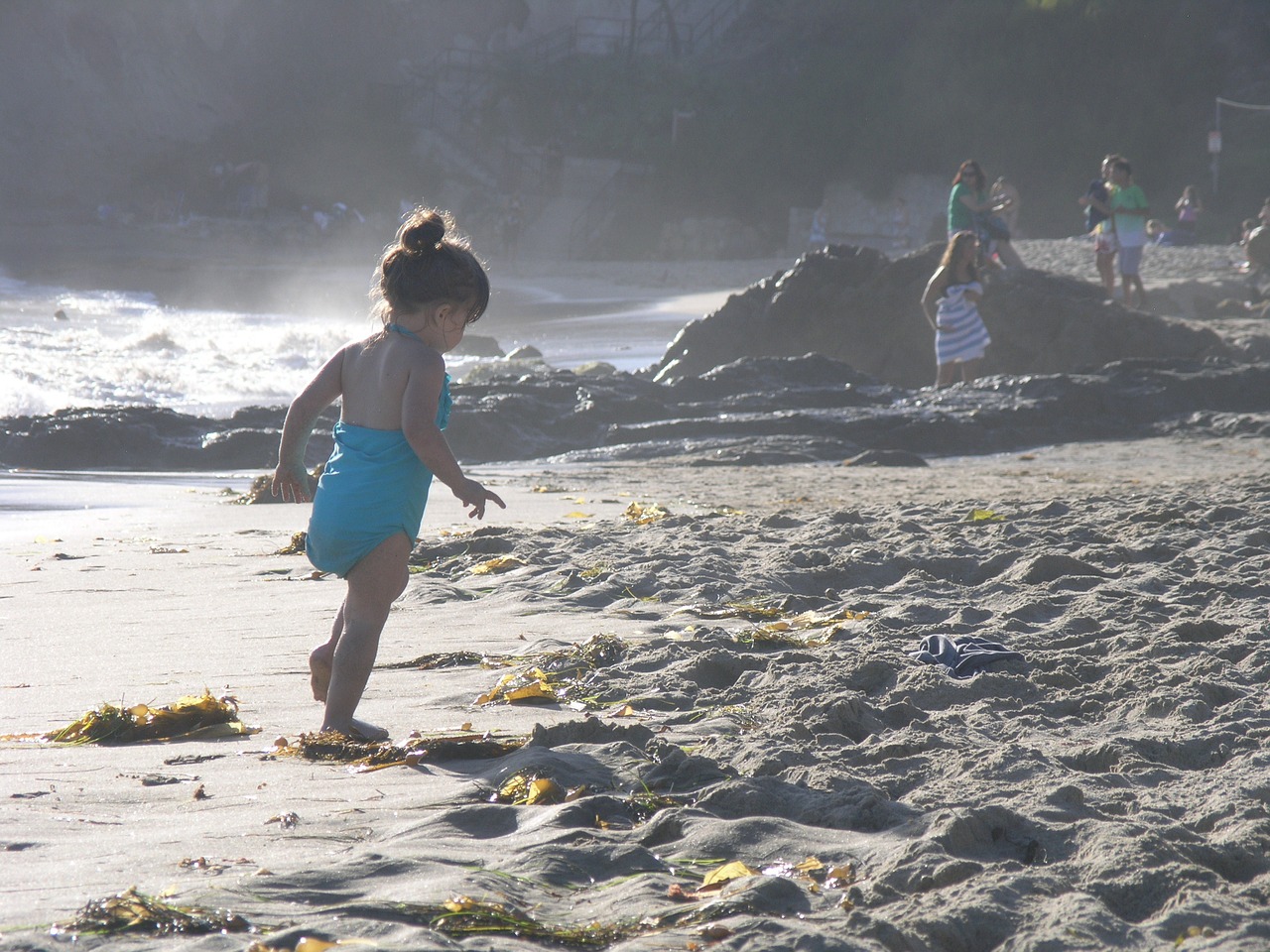 beach ocean shore free photo