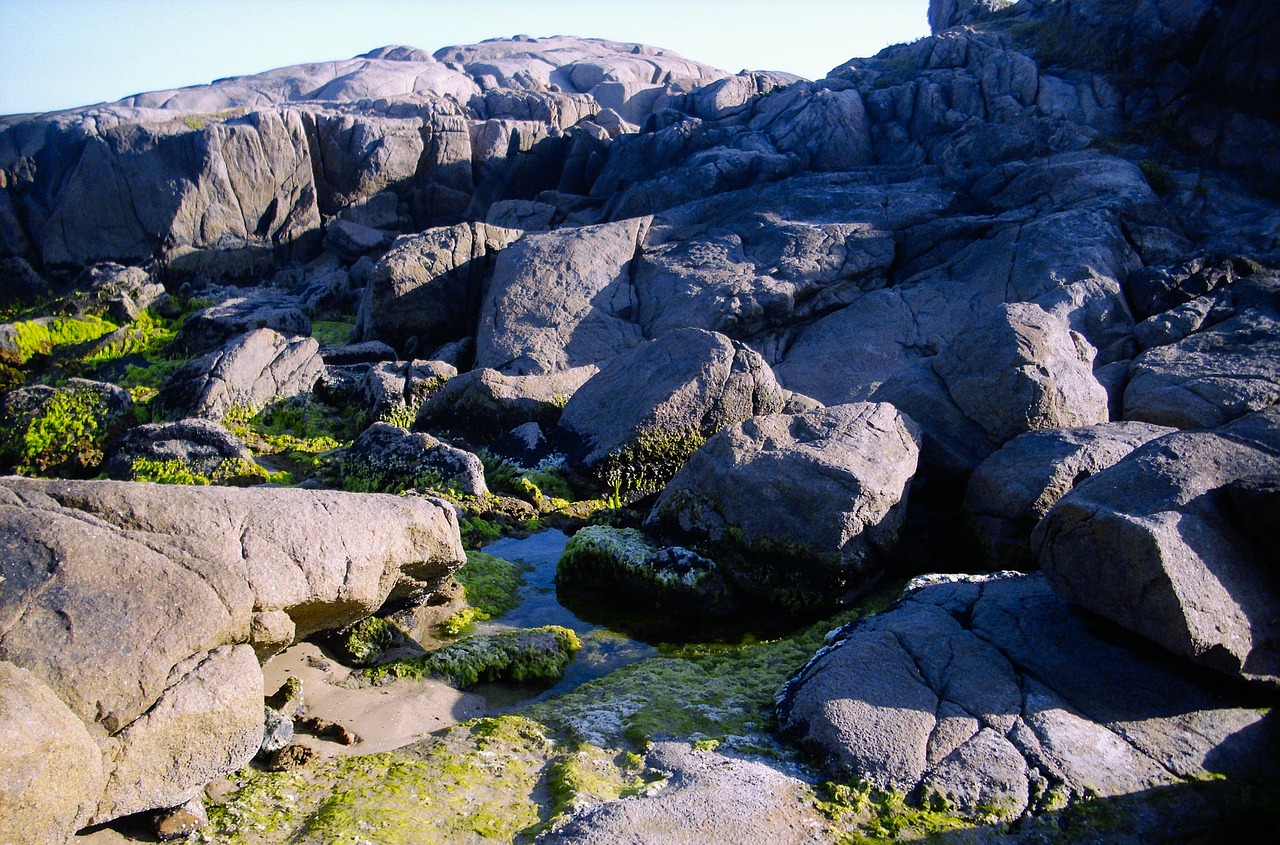 beach stones rocks free photo