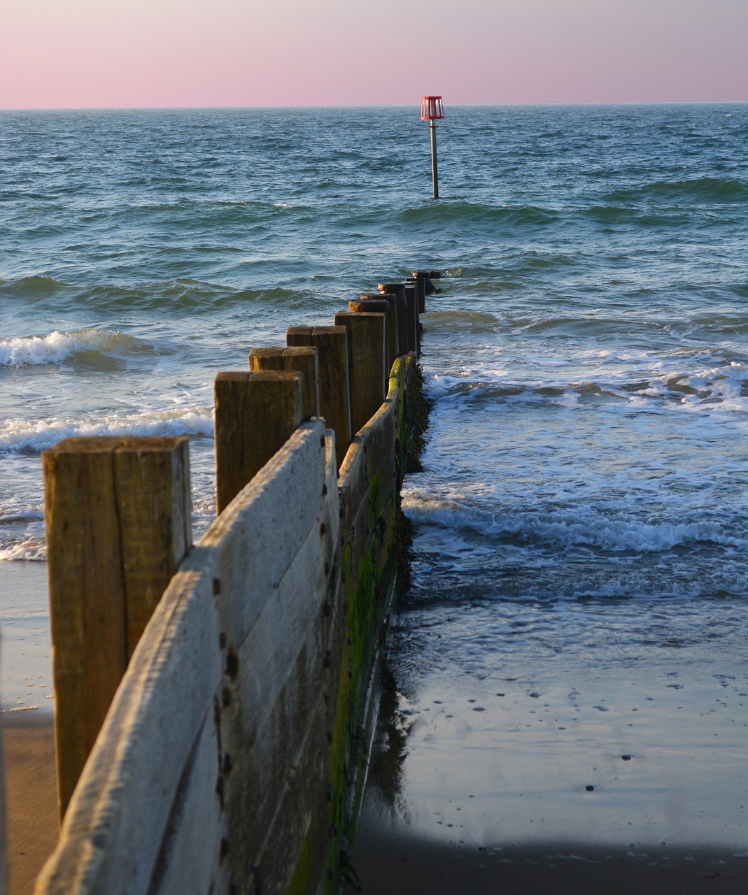 beach sea water free photo