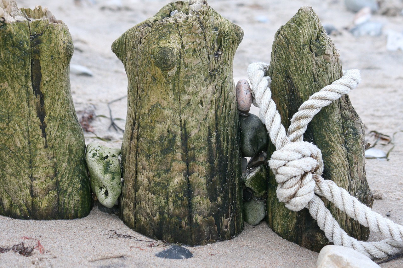 beach sand rope free photo
