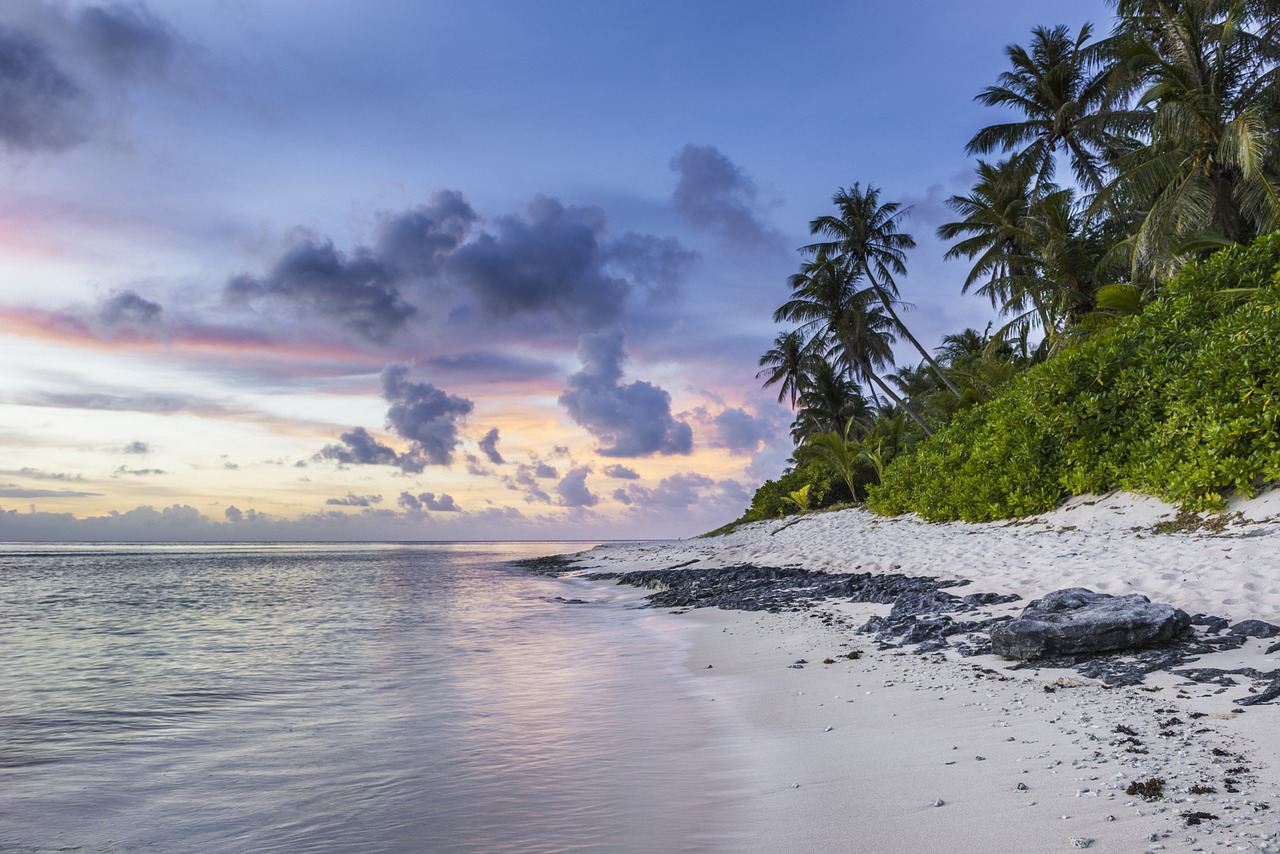 beach tropical shoreline free photo