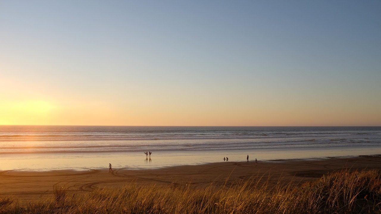 beach sand water free photo