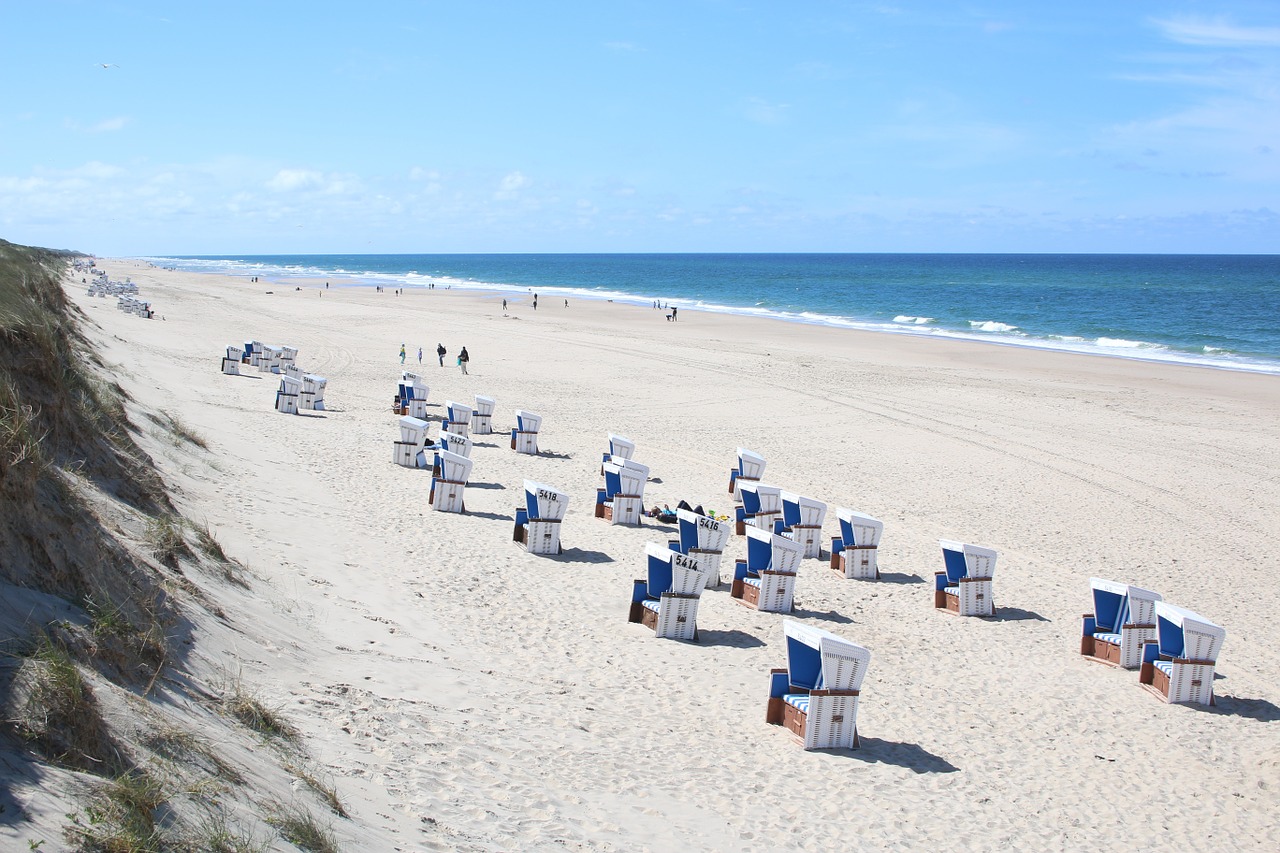 beach sand ocean free photo