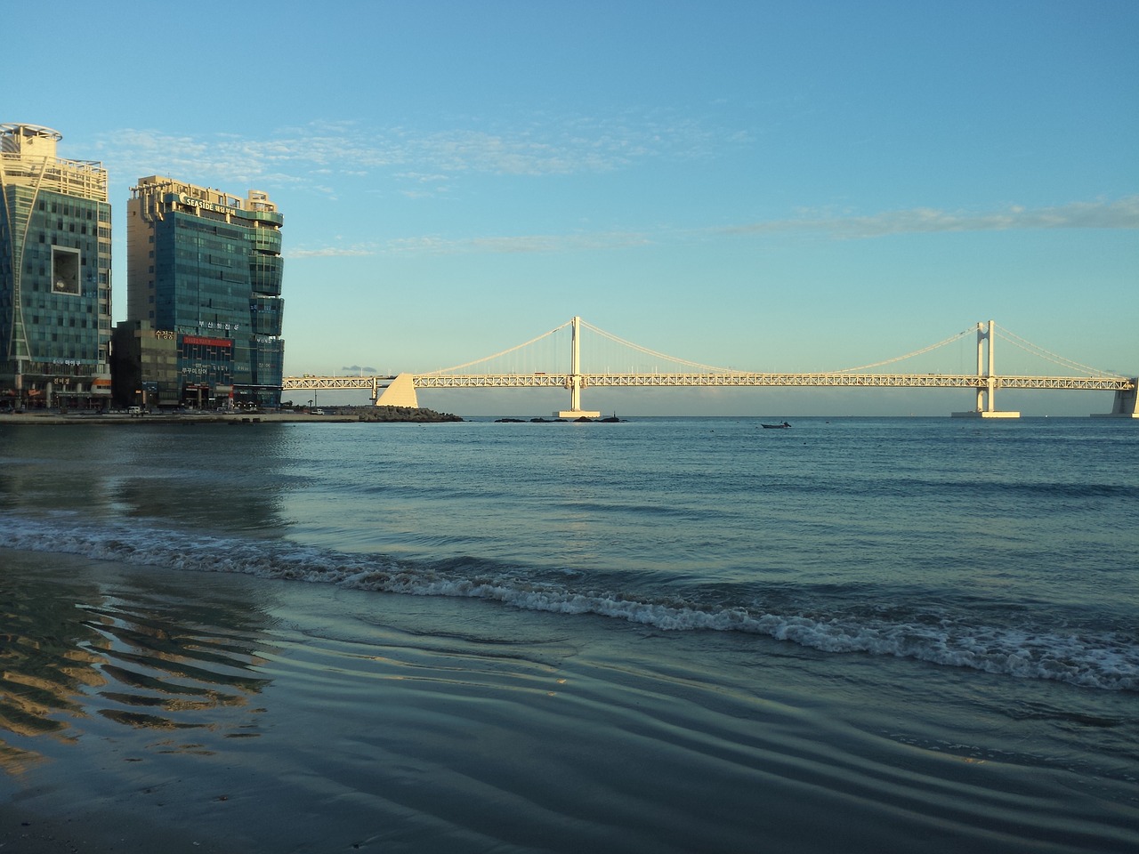 beach bridge busan free photo