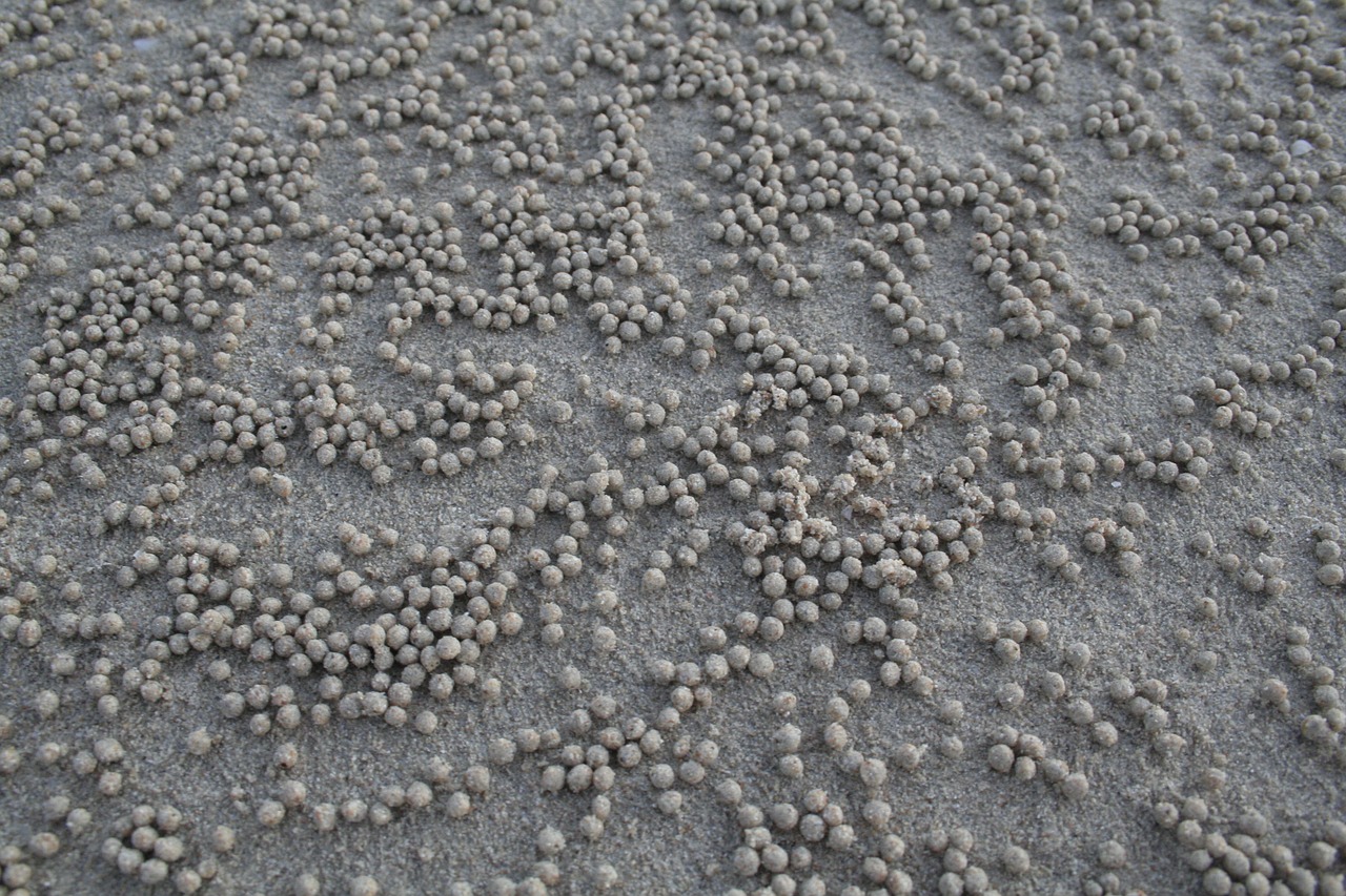 beach balls sand free photo