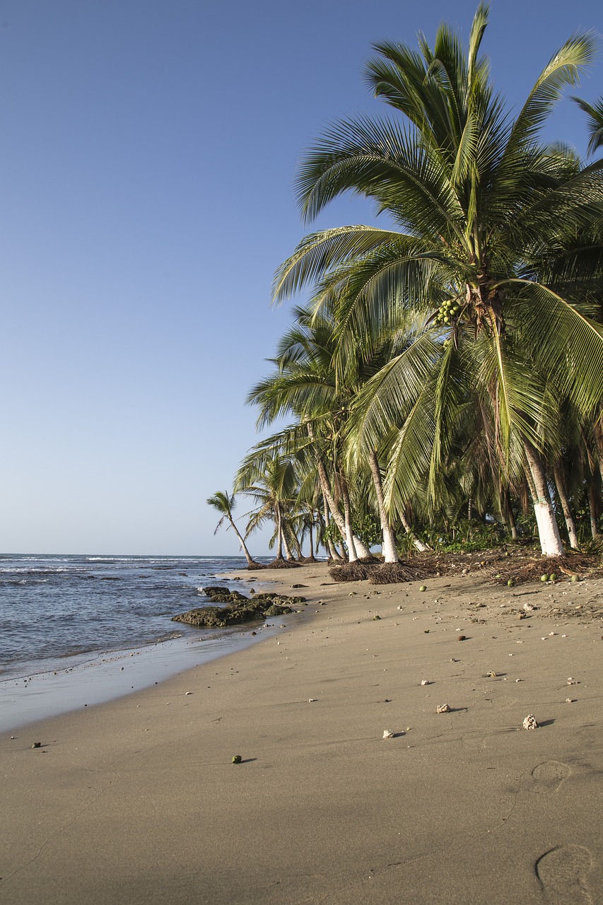 beach sea ocean free photo