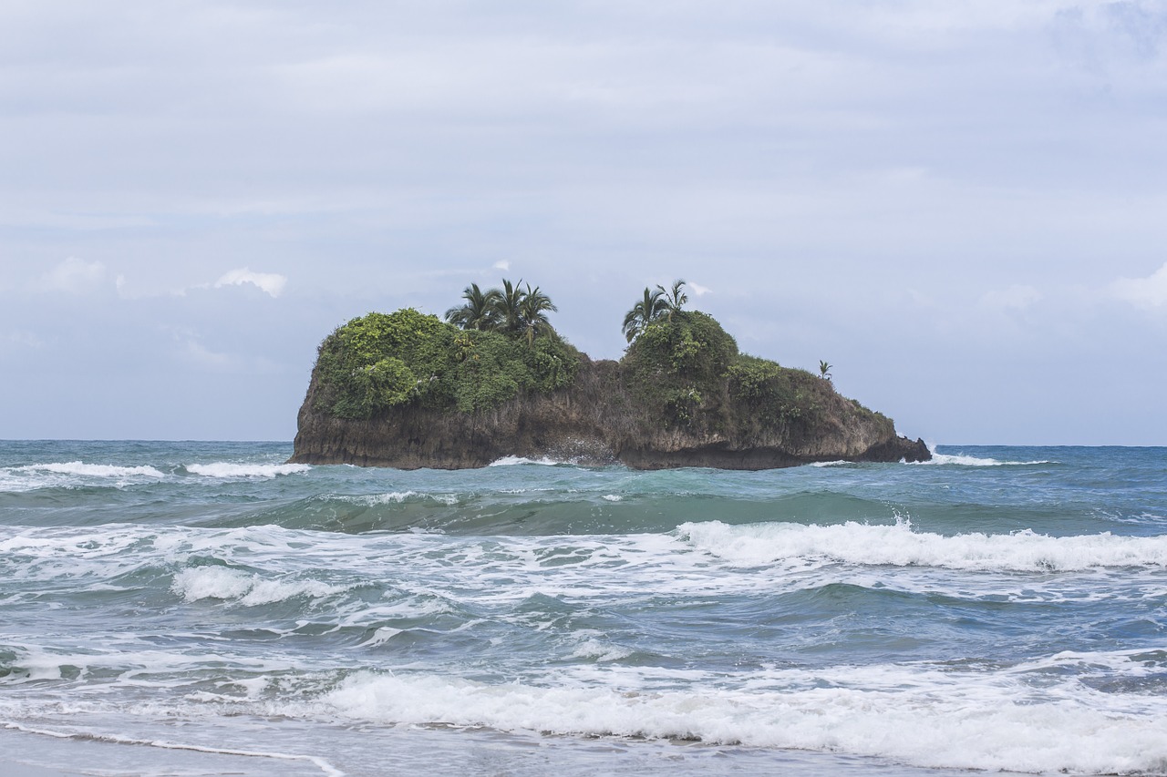 beach sea ocean free photo