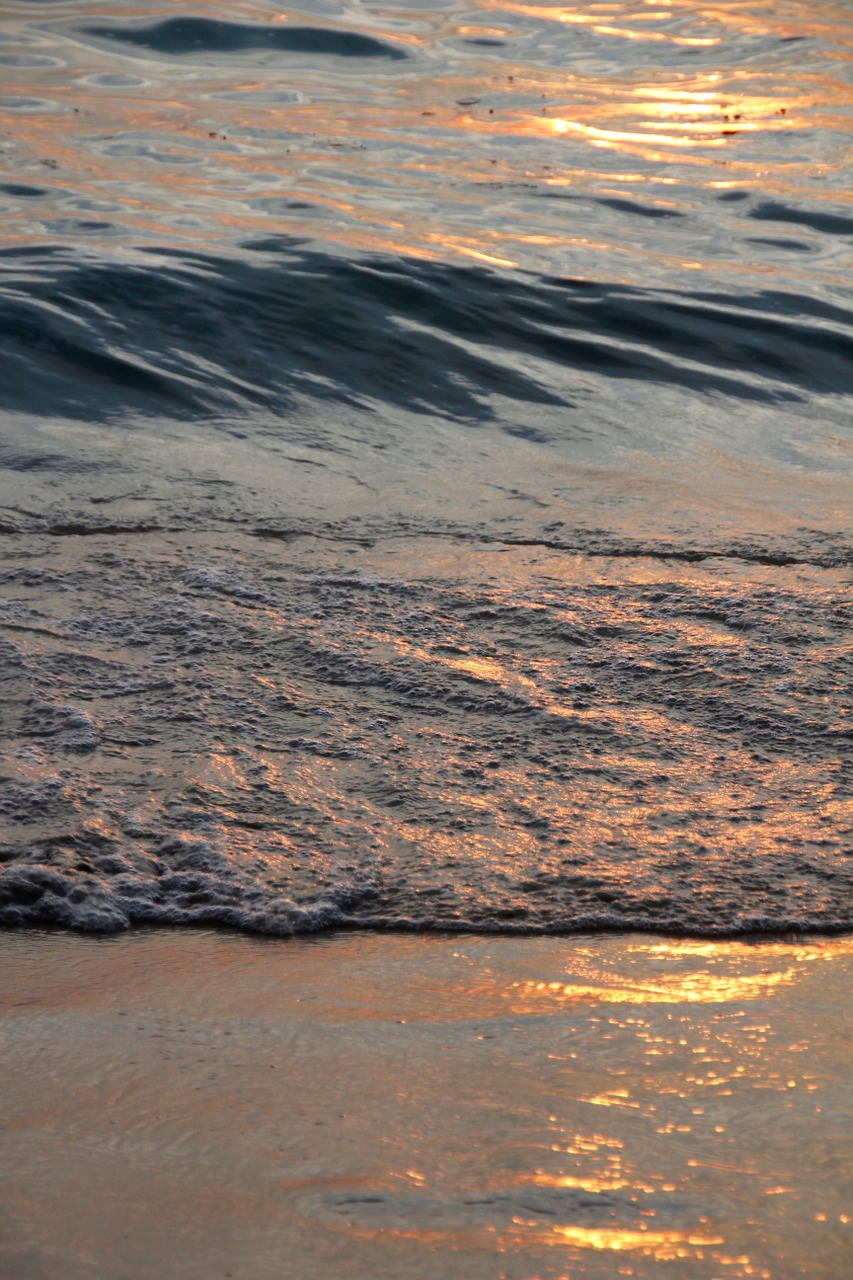 beach wave water free photo