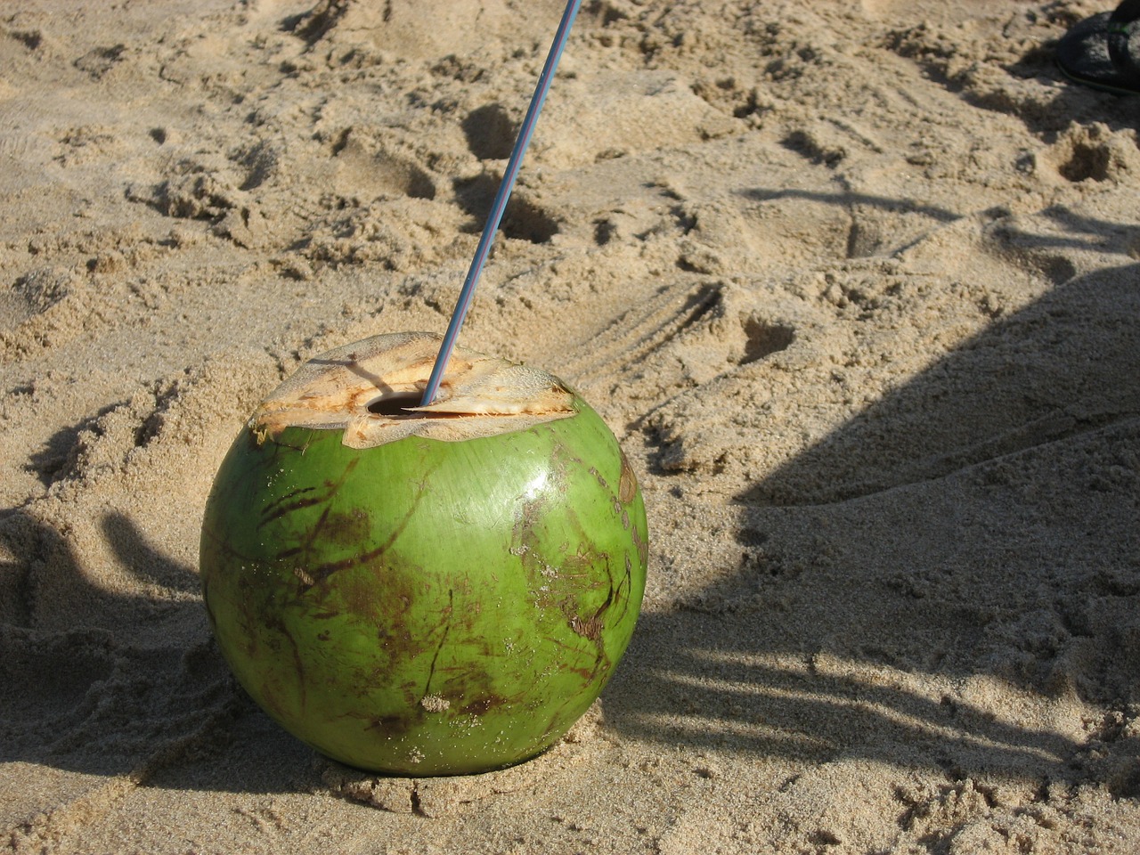 beach coconut brazil free photo