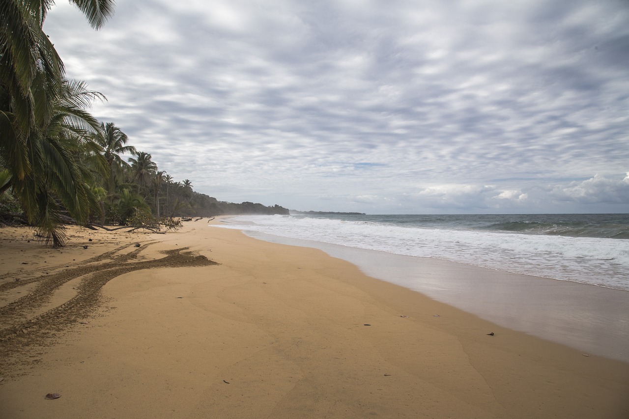 beach sand orange free photo