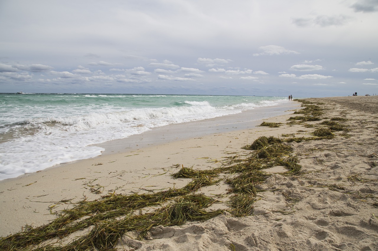 beach sand orange free photo