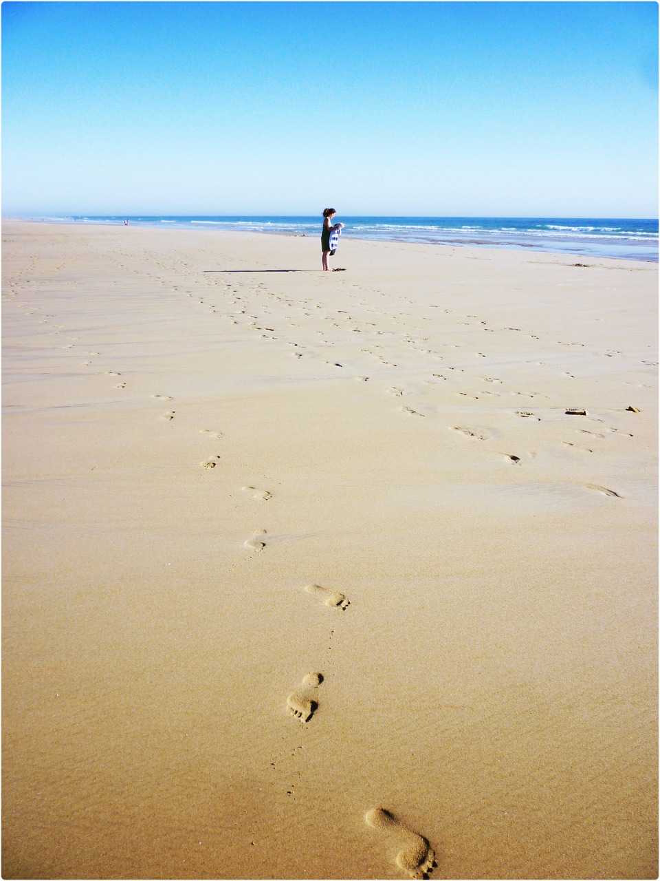 beach conil landscape free photo