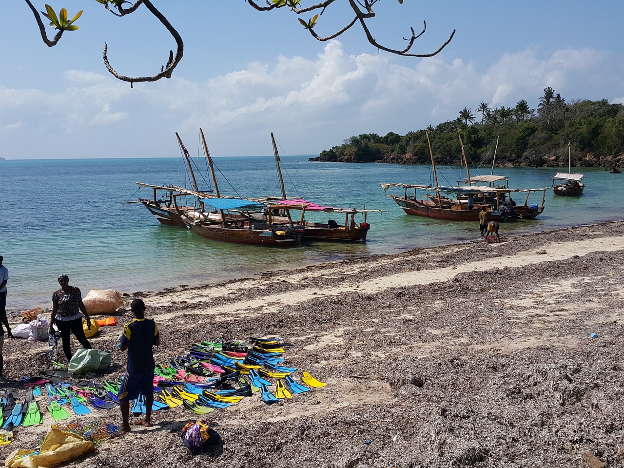 beach zanzibar sea free photo