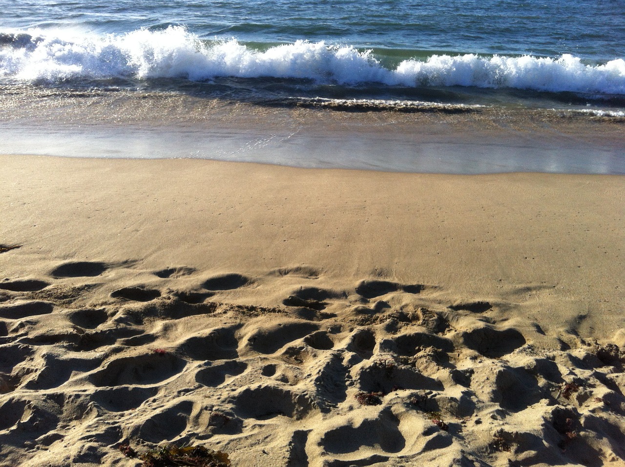 beach ocean sand free photo