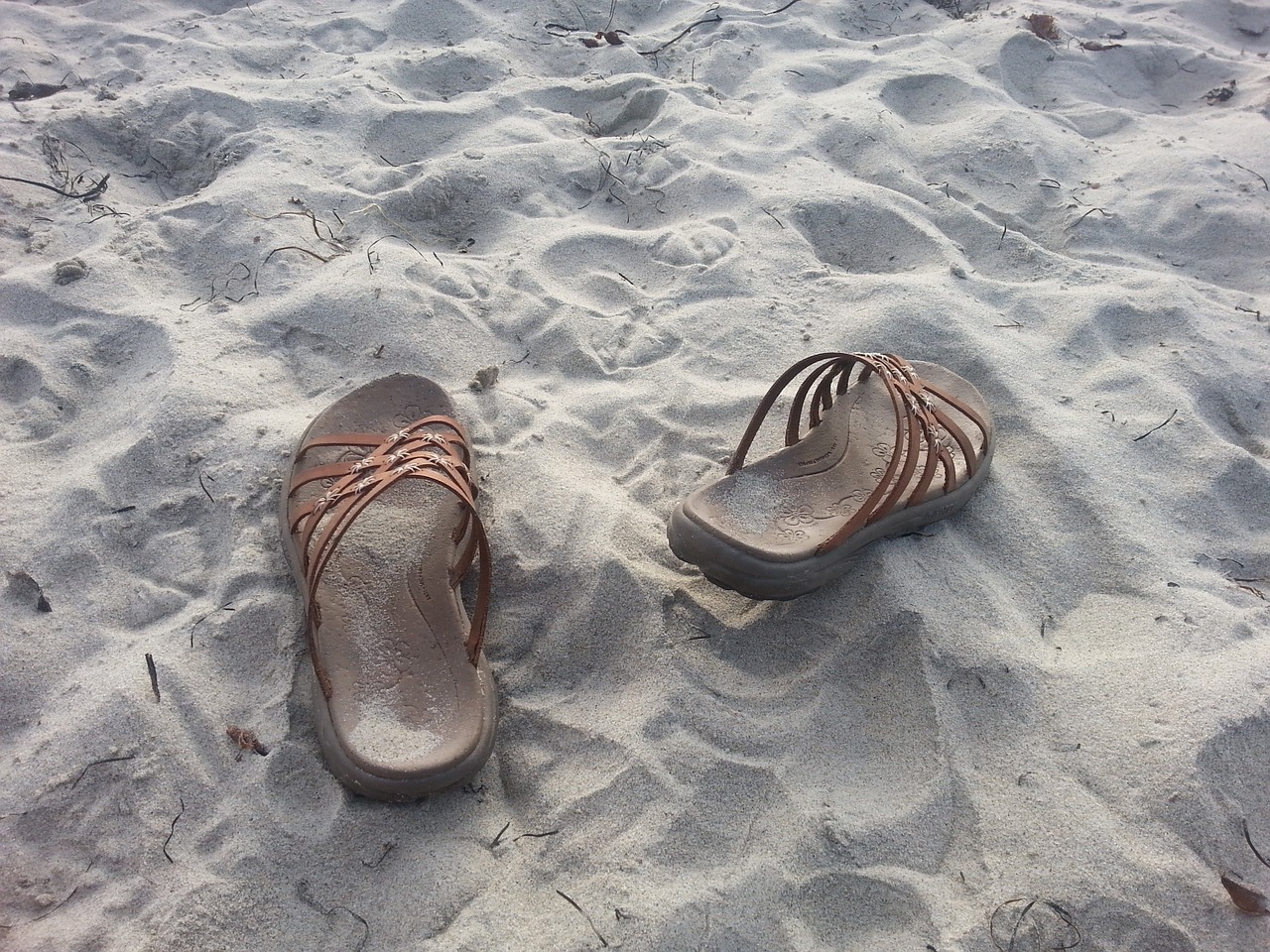 beach sandals vacation free photo