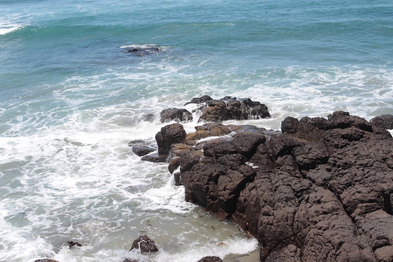 beach nature sea free photo