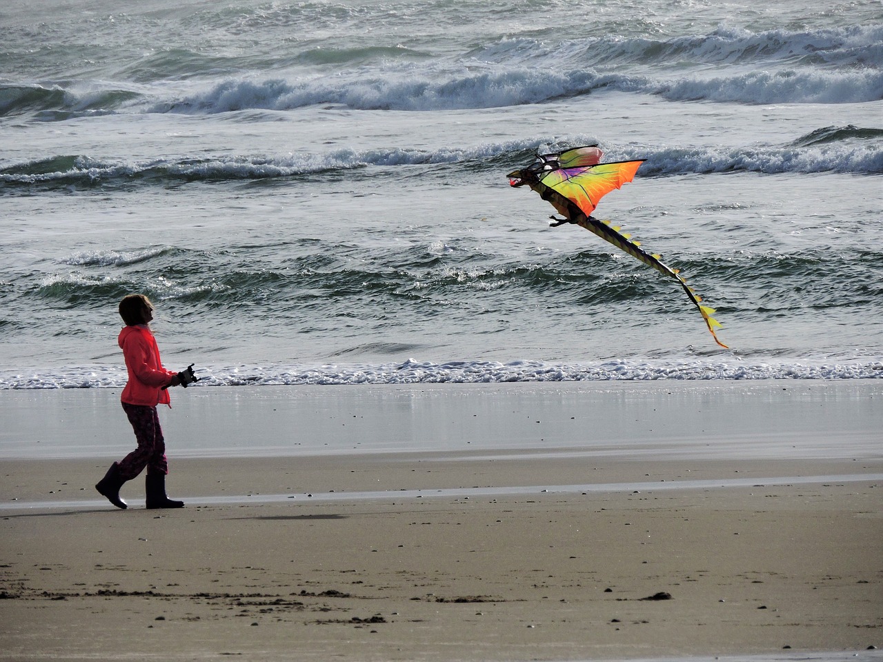 beach kite kite flying free photo