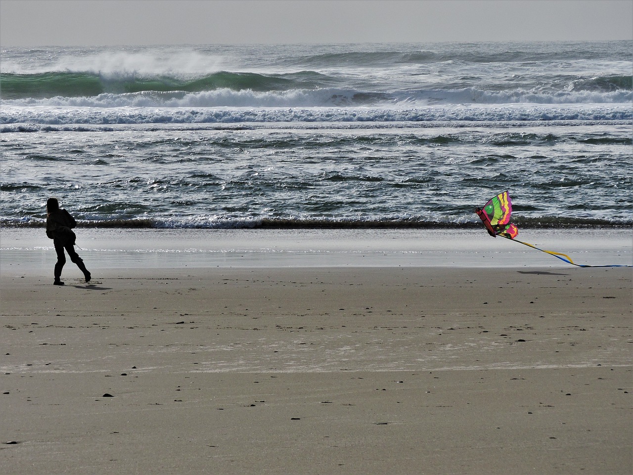 beach kite kite flying free photo