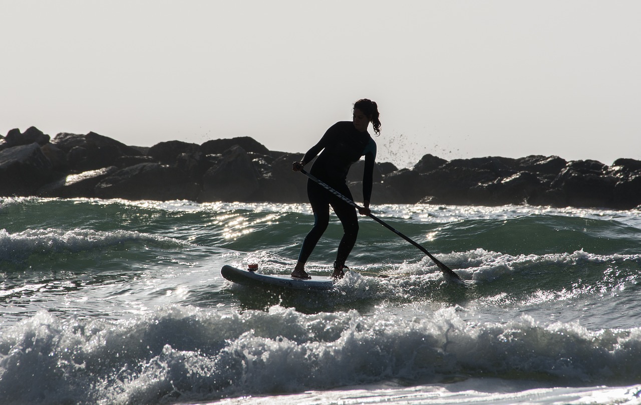 beach wave surfer free photo