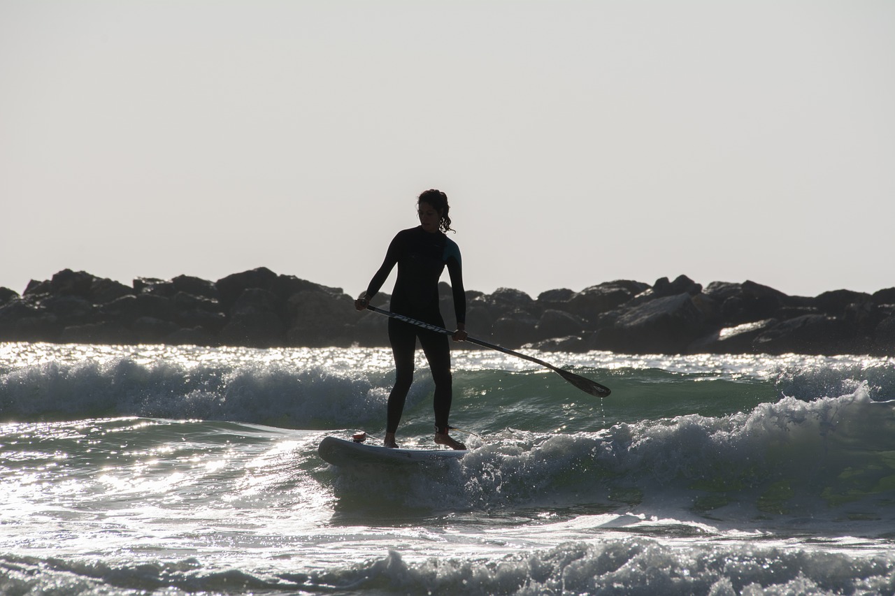 beach wave surfer free photo