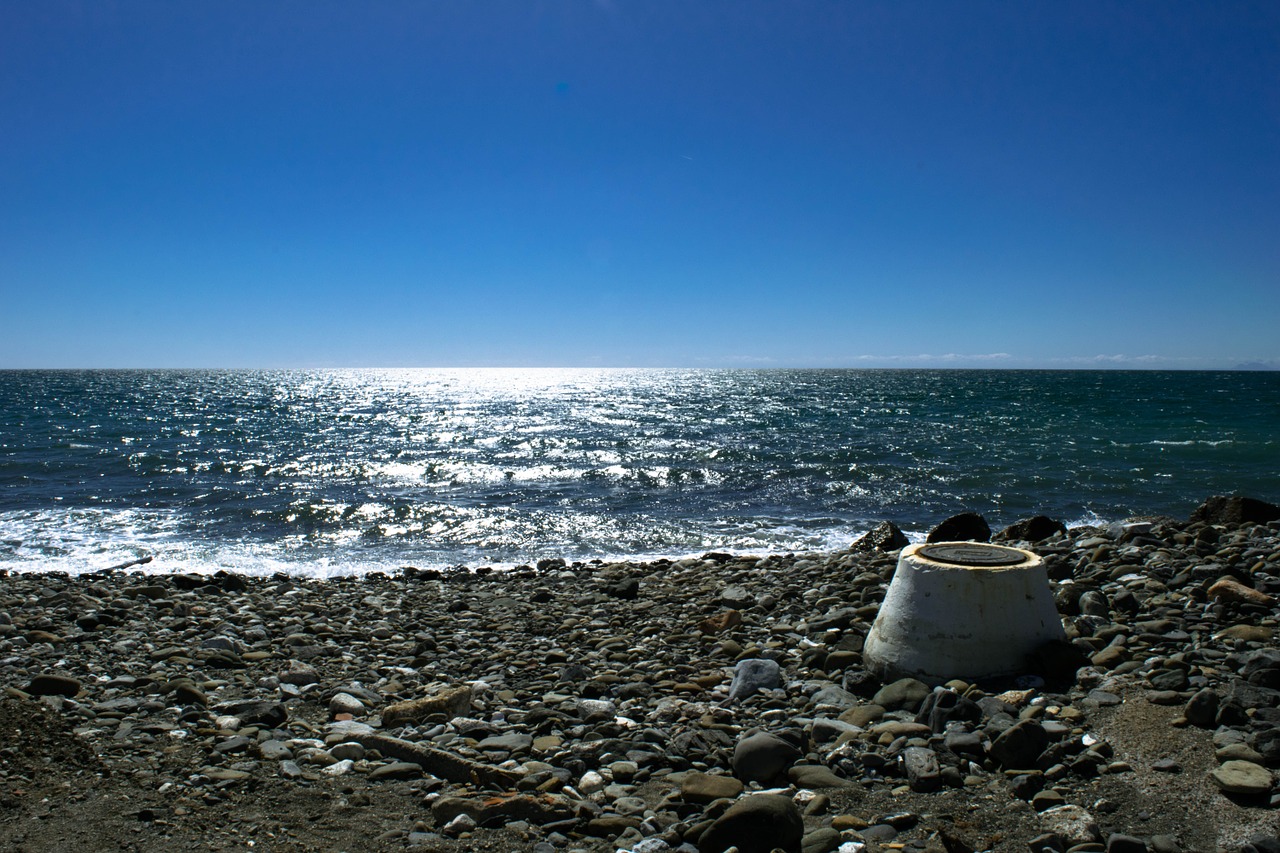 beach sea horizon free photo