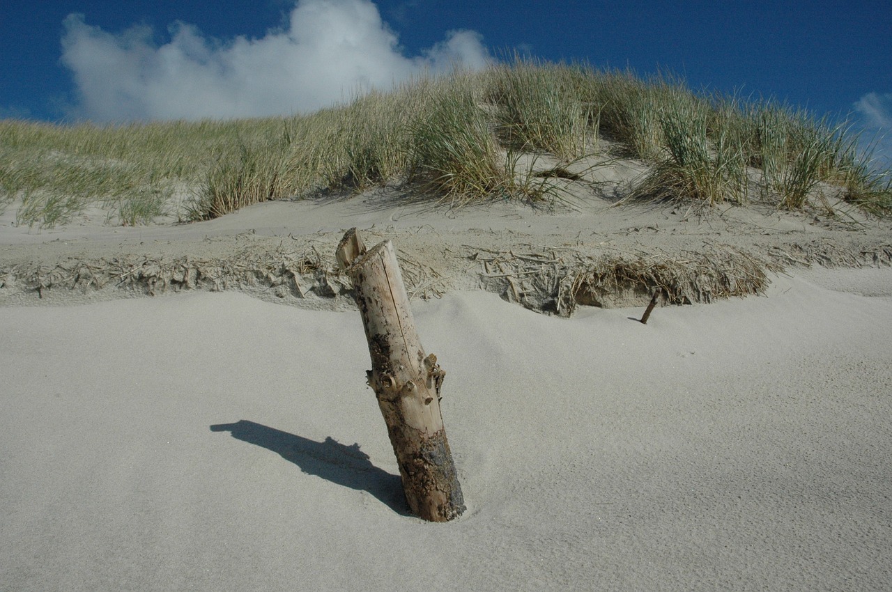 beach pile sea free photo