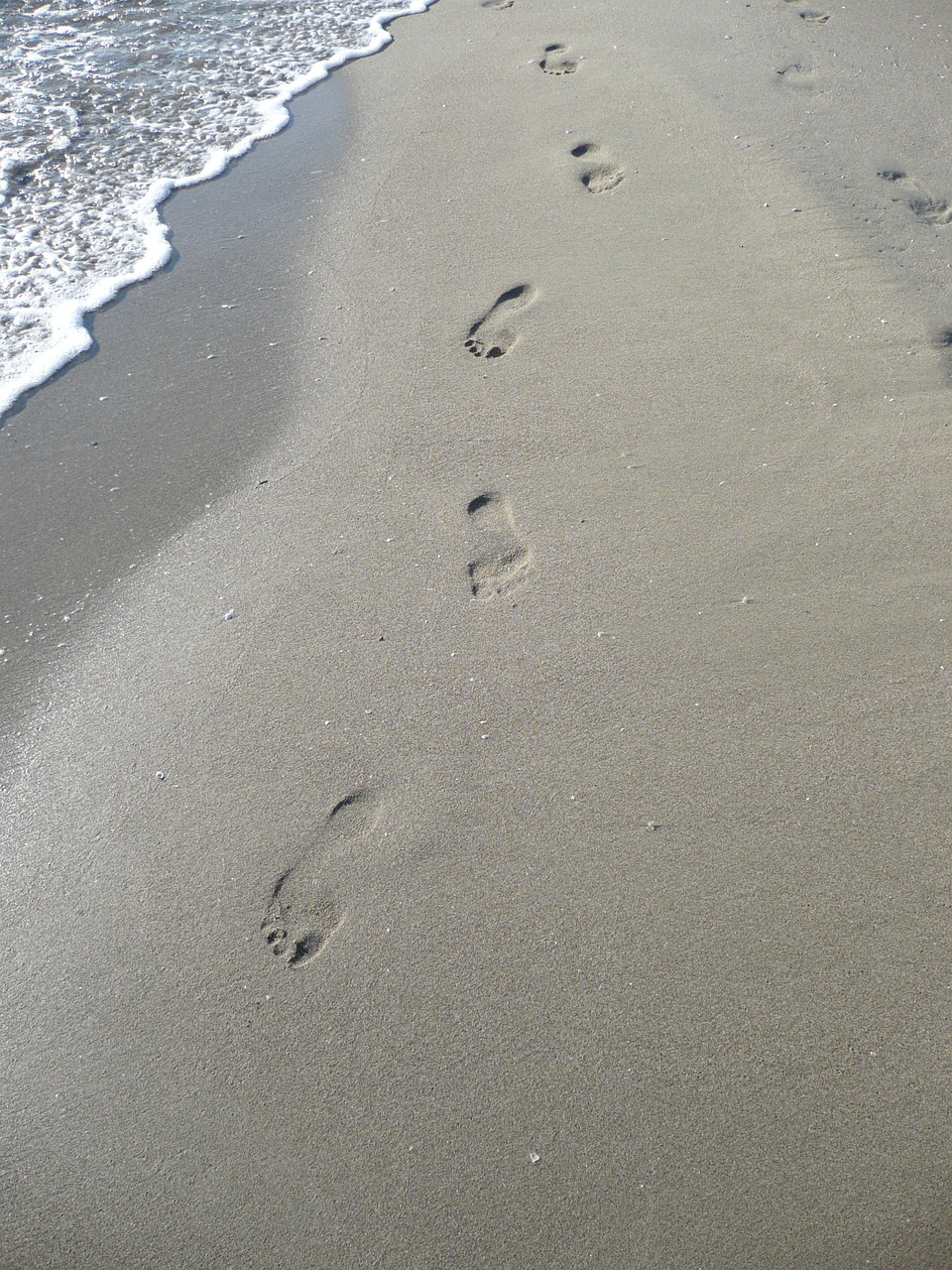 beach sand traces free photo